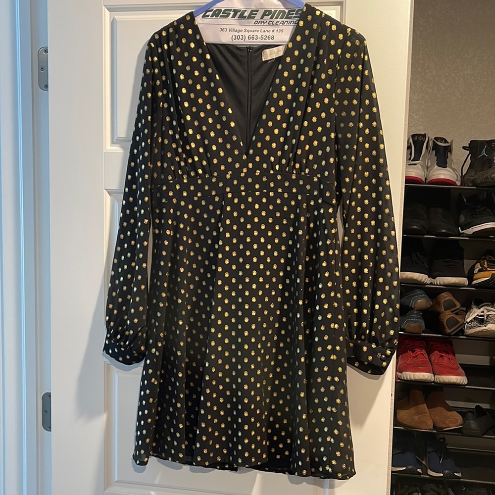 Black and Gold Dress